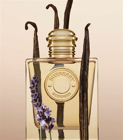 burberry goddess perfume 30ml|nordstrom burberry goddess.